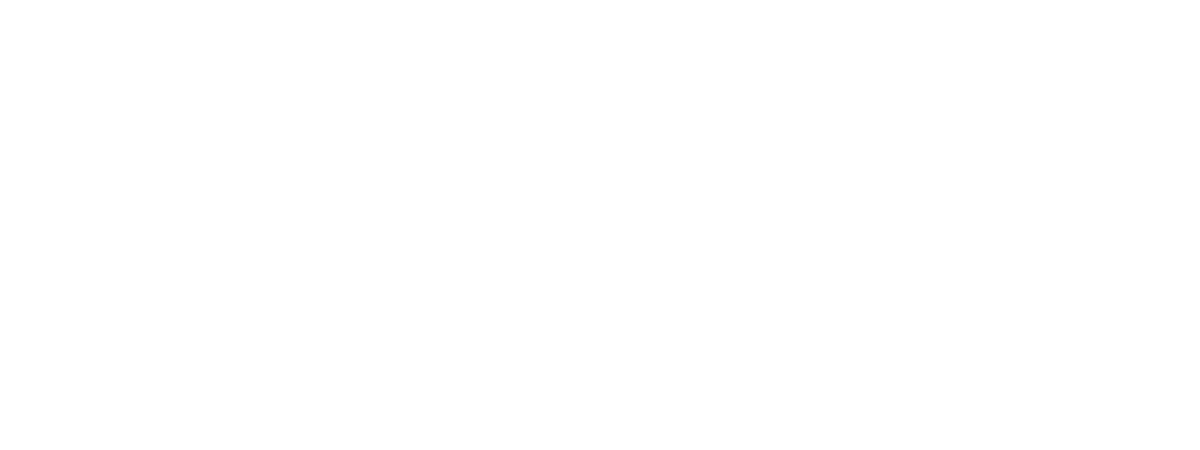 SEB FOIL